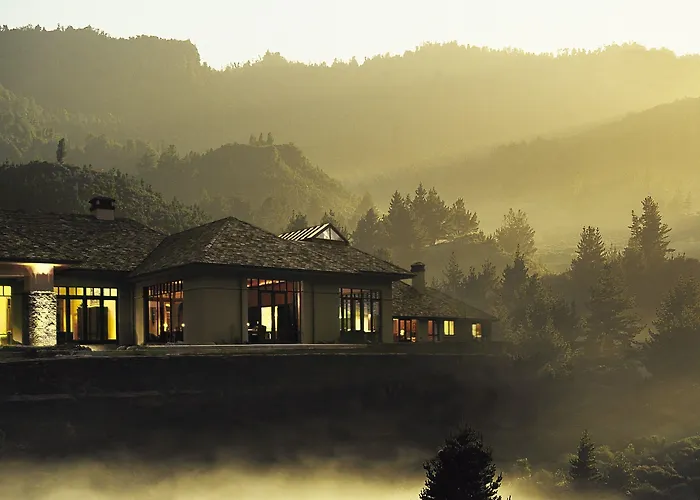 Treetops & Estate Resort 5*