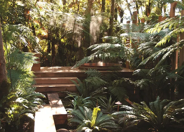 Treetops & Estate Resort